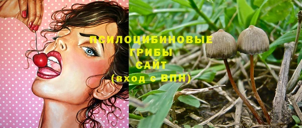 крисы Аркадак